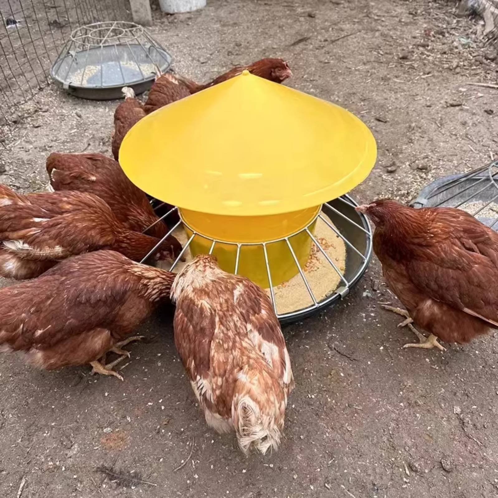 Round Fowl Feeder Large Capaci - Feeding 评论和价格