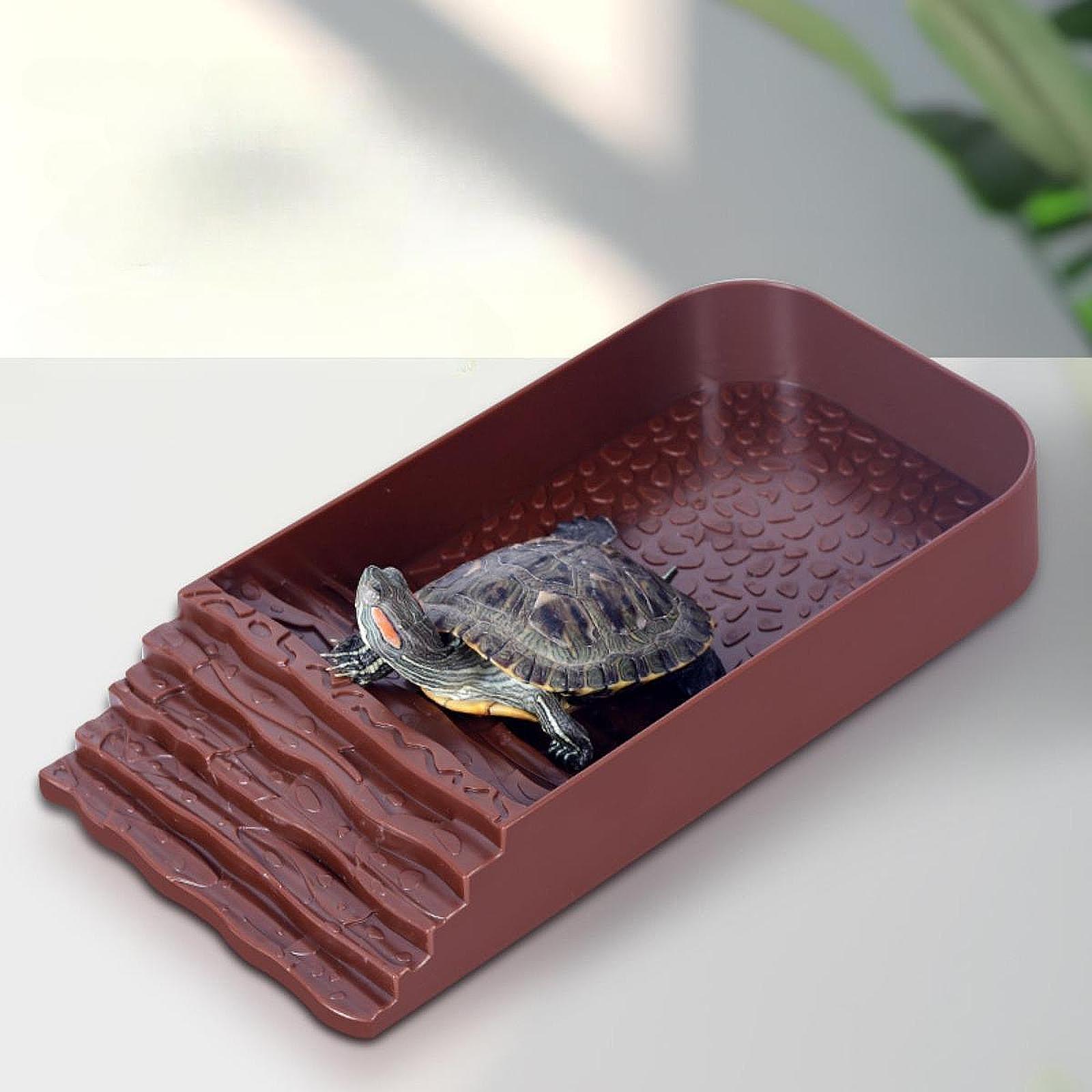 Large Turtle Water Dish Reptil - Feeding 评论和价格